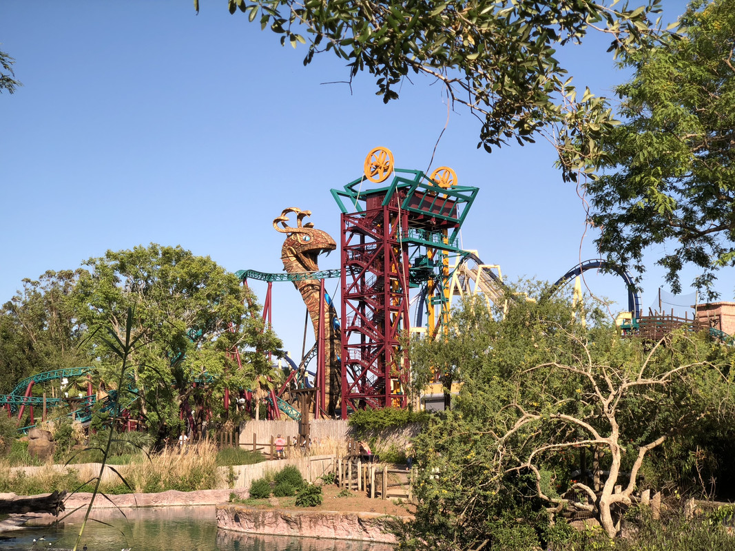 F711AC2D-E649-40FD-B0F9-B041E7ADC323