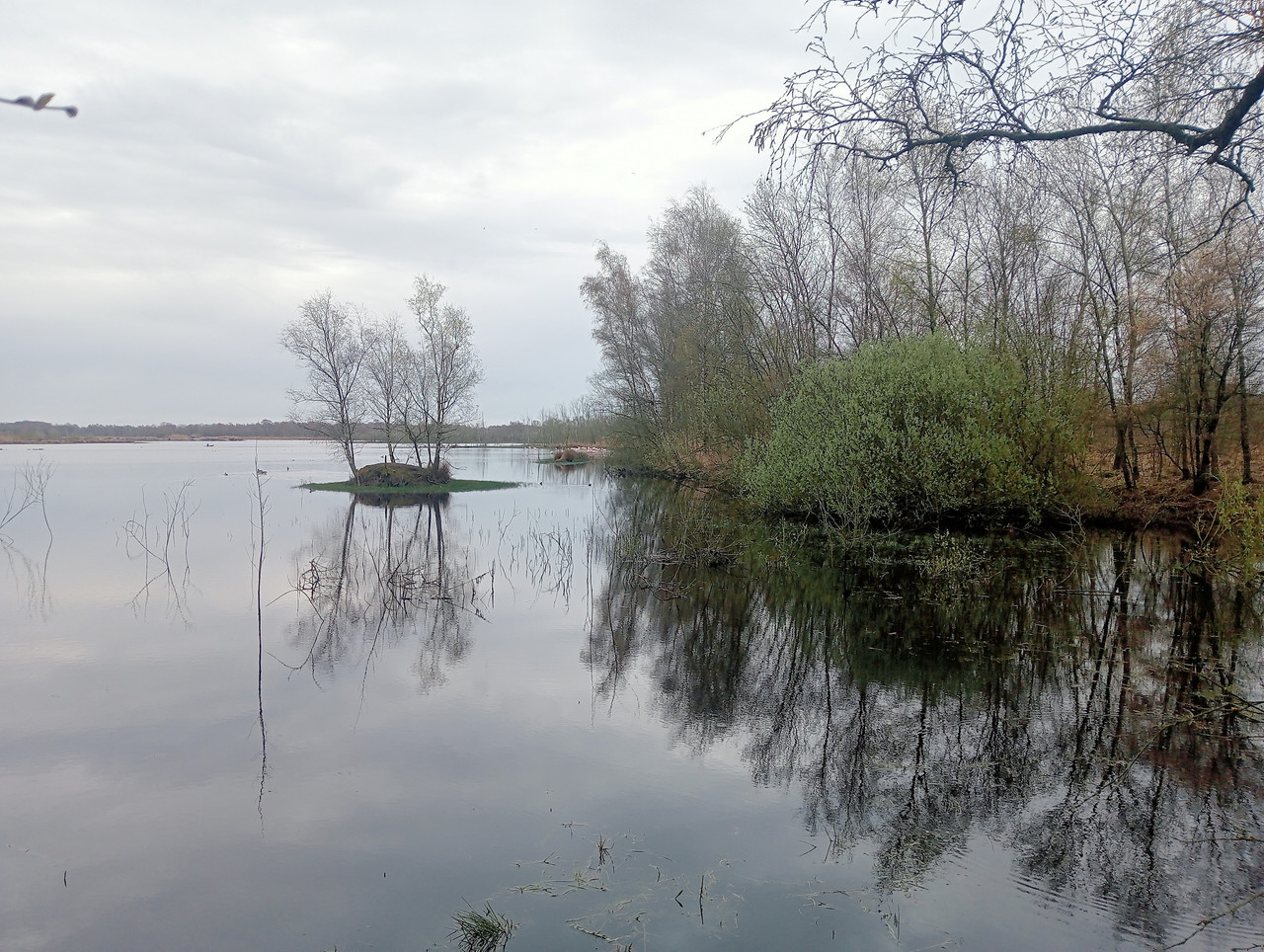 [Afbeelding: IMG20260403105706.jpg]