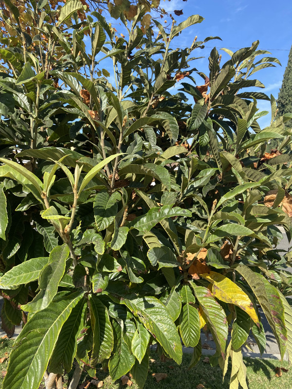 227A930C-62C5-4CAA-BDF9-CCD8CC0FBE36