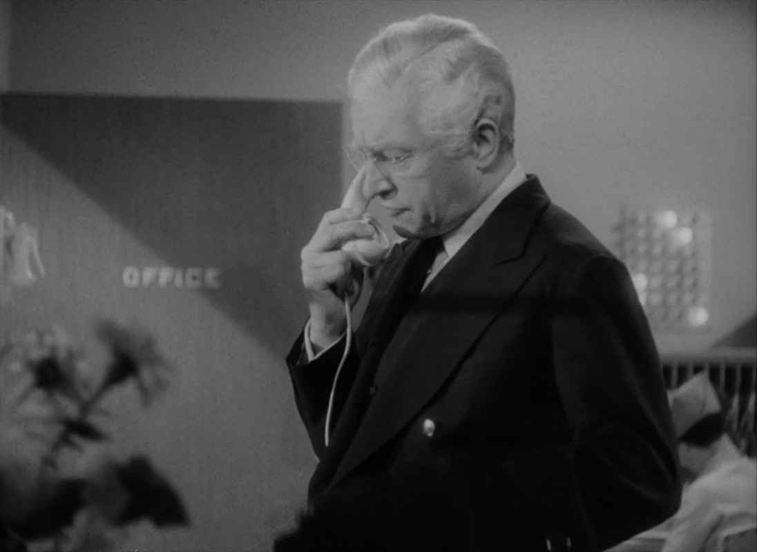 Mr. Smith Goes to Washington (1939) (1080p BluRay x265 LION)-2