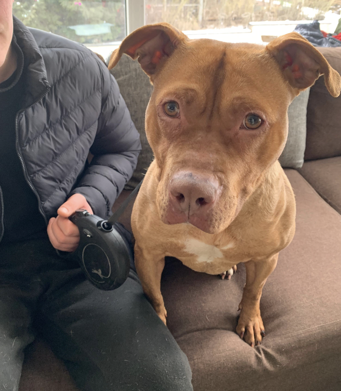 Снимок экрана 2025-02-14 в 14.42.22