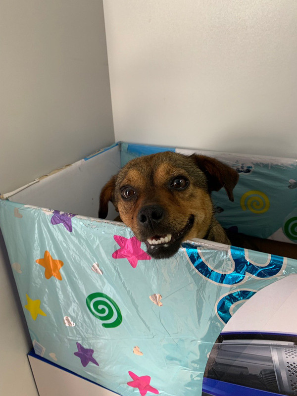 913ED37F-30FA-4B6A-9330-9489E9A5600F