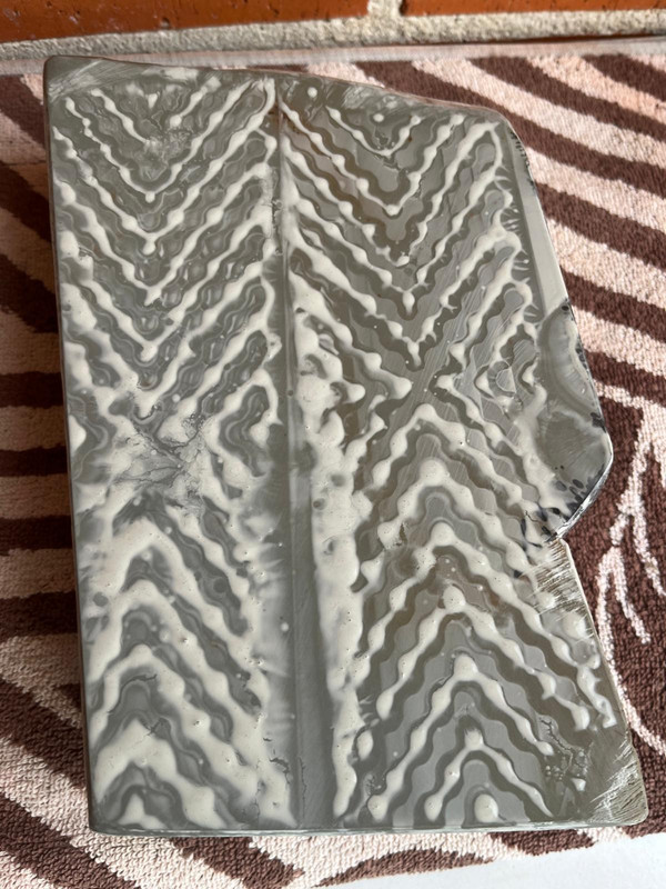 UTF-8IMG-20250108-WA0010