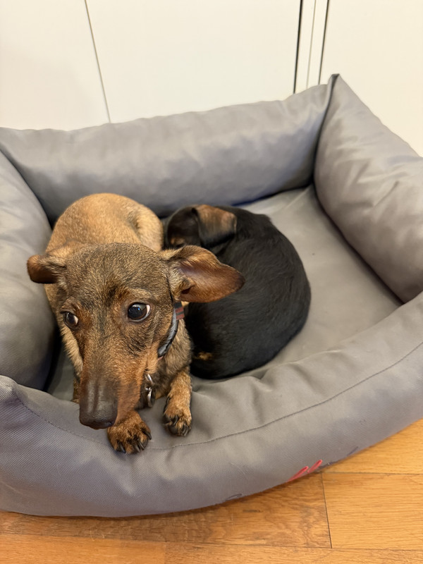 [Image: IMG-2218.jpg]