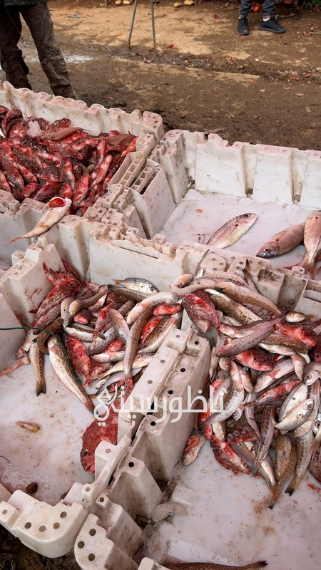 التقطيع .00_01_35_27.Still013