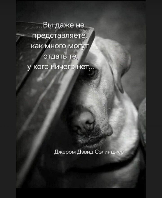 [Изображение: b7575f22f3cfcf092d94a17ab1d81b7f.jpg]