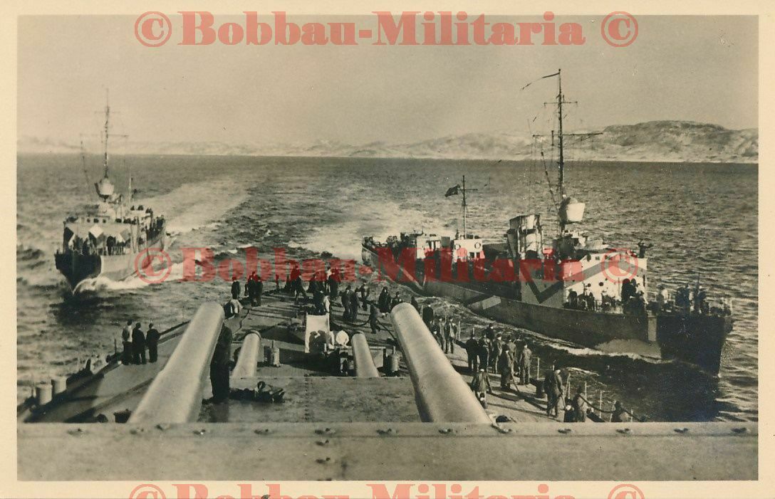 Norwegen Schlachtschiff Tirpitz Narvik Zerstörer camo Tarn