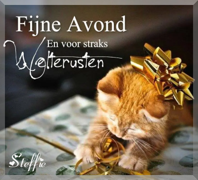 Vrijdagavond.png  border=