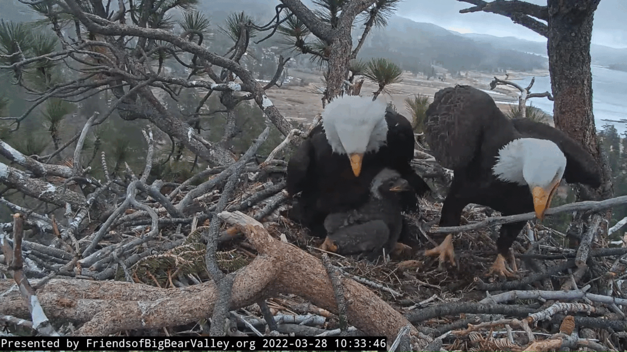 Webp.net-gifmaker (1)