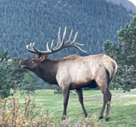 B59DDC9B-4508-4E47-8DB3-0D88168AED3A