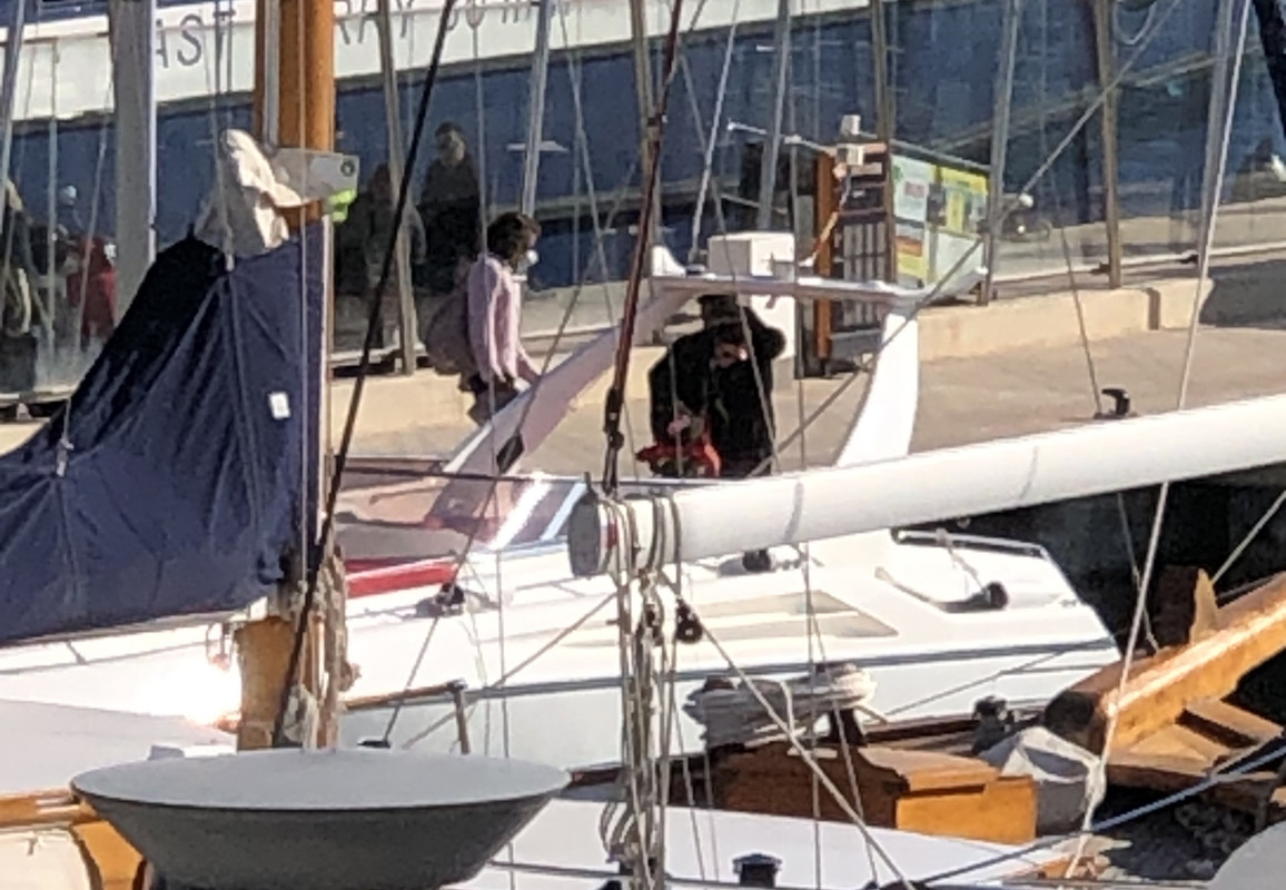 emmawatson-updates.com (9)