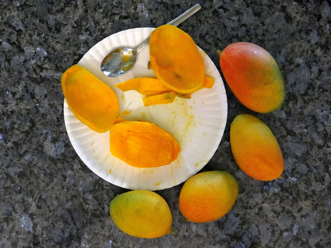 PickeringMangoAug.
