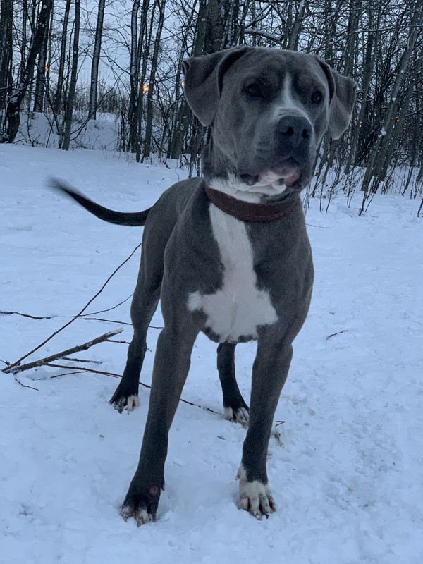 2BD4A904-F0C0-4361-9BC7-CE5902145506