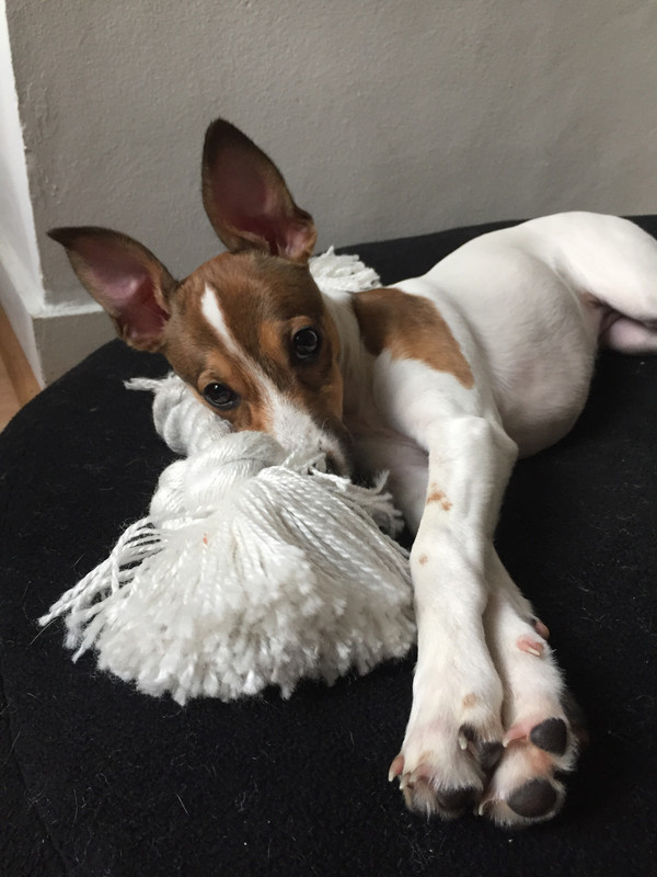 21C14B1B-BD5C-40F1-9451-24FEABF037F7