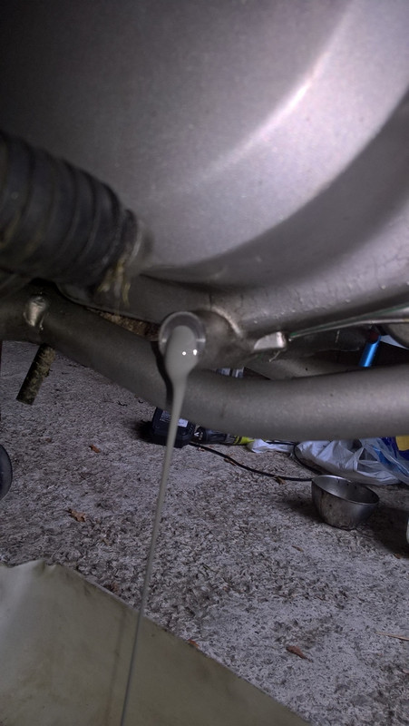 WP_20190925_17_14_35_Pro (Copier)