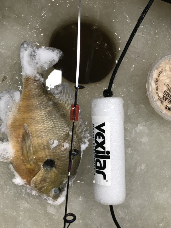 46A31D6E-BA71-4193-8352-01F252ACC1B8