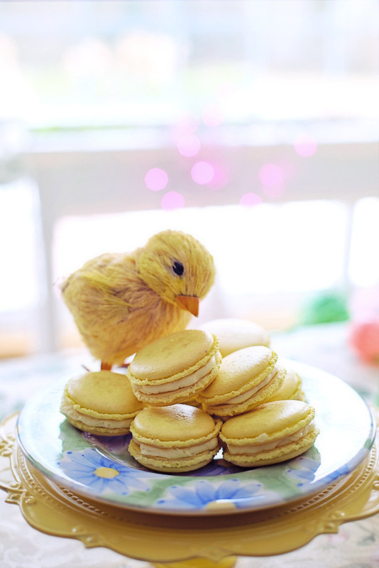 yellow-macarons-chick.jpg