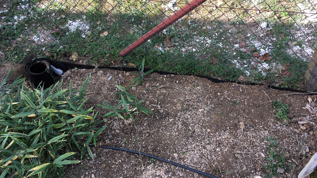 3610EDFF-E010-41FA-9C30-361E7890F027