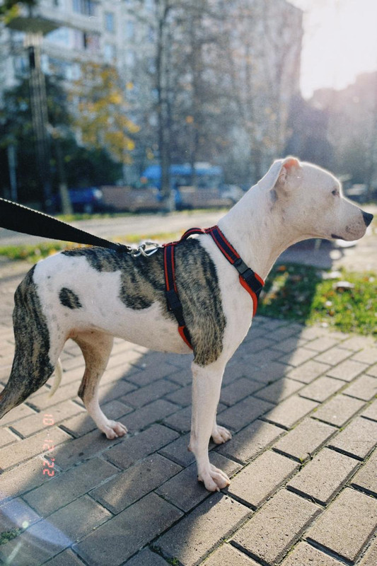 EB476EEA-BD00-4728-A1D4-03F6D5F1815E