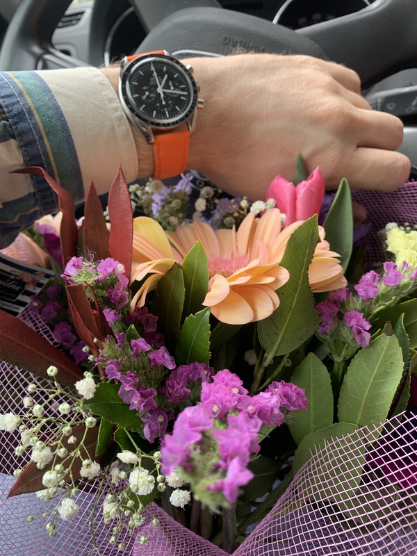 8F1168BF-C326-4621-85E2-FFF1757E98F3