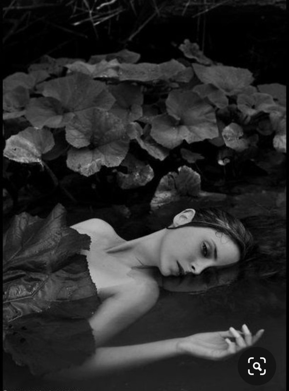 Screenshot_20231027_231213_Pinterest