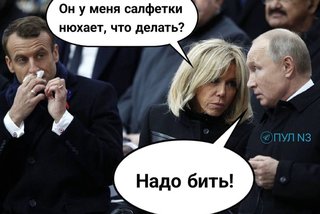 https://i.postimg.cc/XNB37wDR/scale-1200.jpg