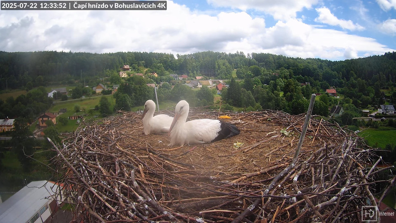 Tiešraide no KARA uzņēmuma stārķu skursteņa Bohuslavicē netālu no Trutnovas 14-5-59 screenshot