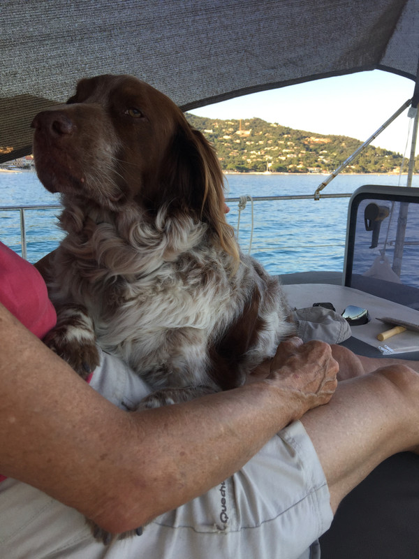 4080D46F-2582-42D7-8B09-FA5E5F40D9F2