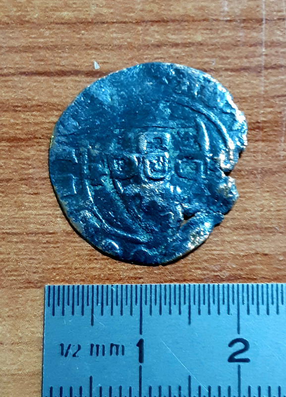 Ayuda a la identificación (¿ceitil?) 20190922-222702
