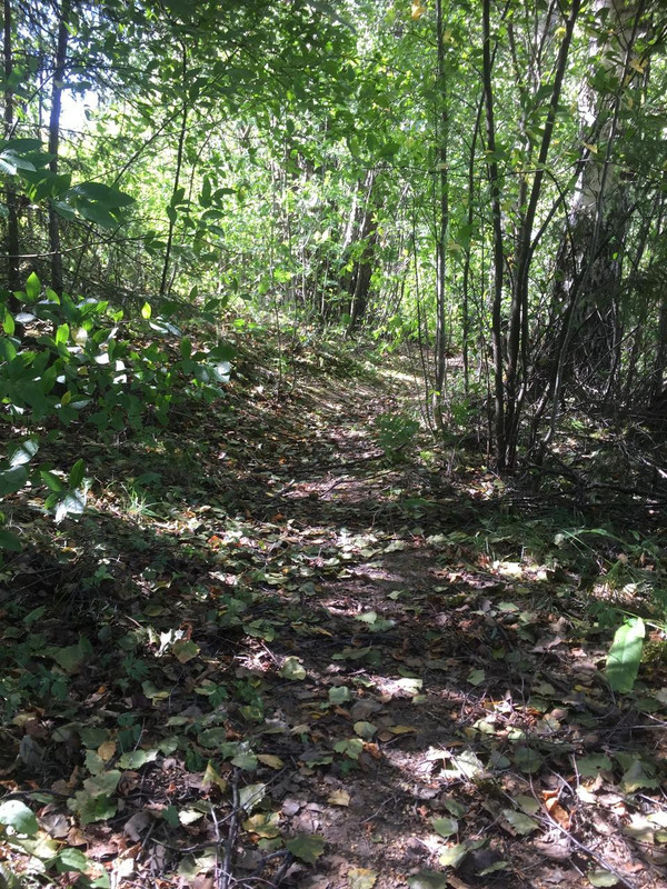 43C879EB-3C45-419B-A59D-2CB9855E0AD2