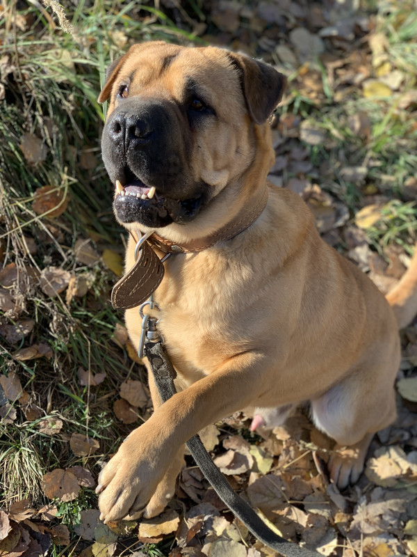 E1033C8E-5A2E-47B5-BCF6-E2E619F51DA9