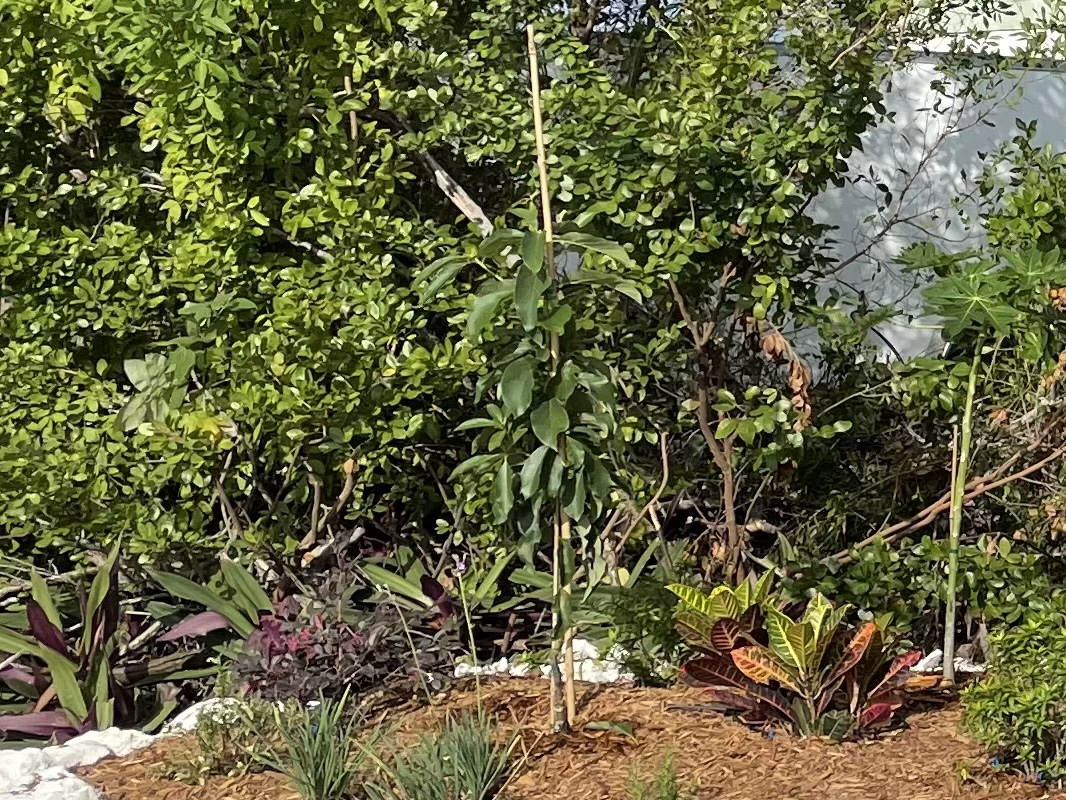 F6CFBEA1-5CDF-45C1-8E96-555A3B317004