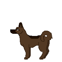 DOGGY.gif