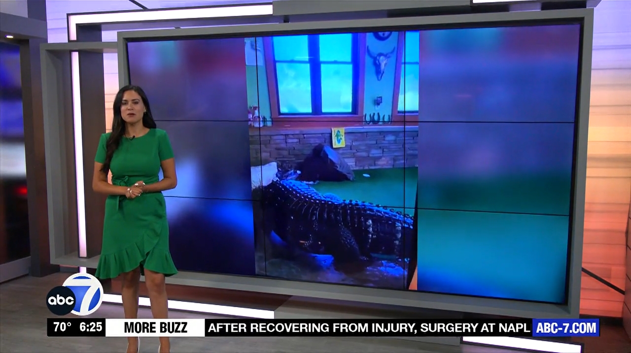 Abc7 More In The Morning Wkn 6Am Su 20240317 10001100-1.mp4_snapshot_21.39.186