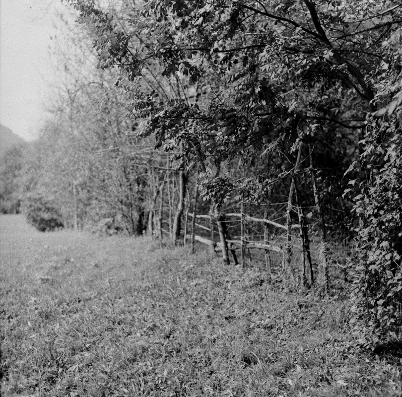 Zeiss Super Ikonta 532_18tt2020_05 (1024x1011)