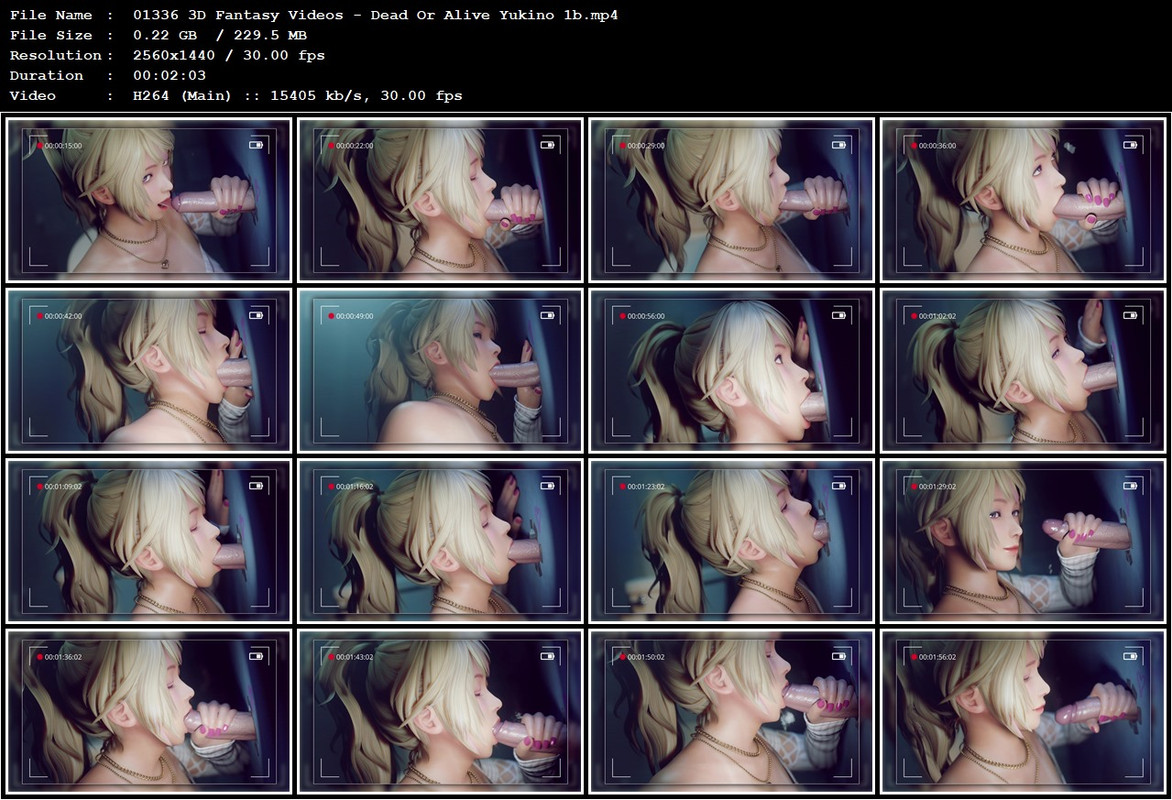 01336 3D Fantasy Videos - Dead Or Alive Yukino 1b.mp4