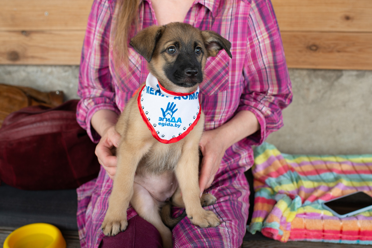 6377E41E-75AD-4D2D-9B71-2E619A0252D7