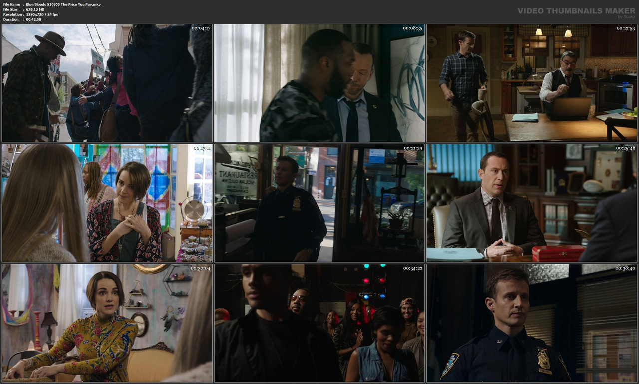 Blue Bloods S10E05 The Price You Pay.mkv