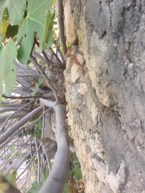 01BA89FD-AC6C-4715-ACBF-FDFCE962FBD4