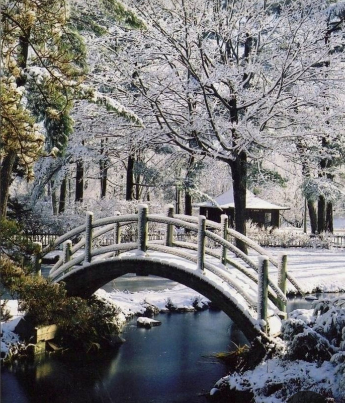 Screenshot_20231211_175538_Pinterest