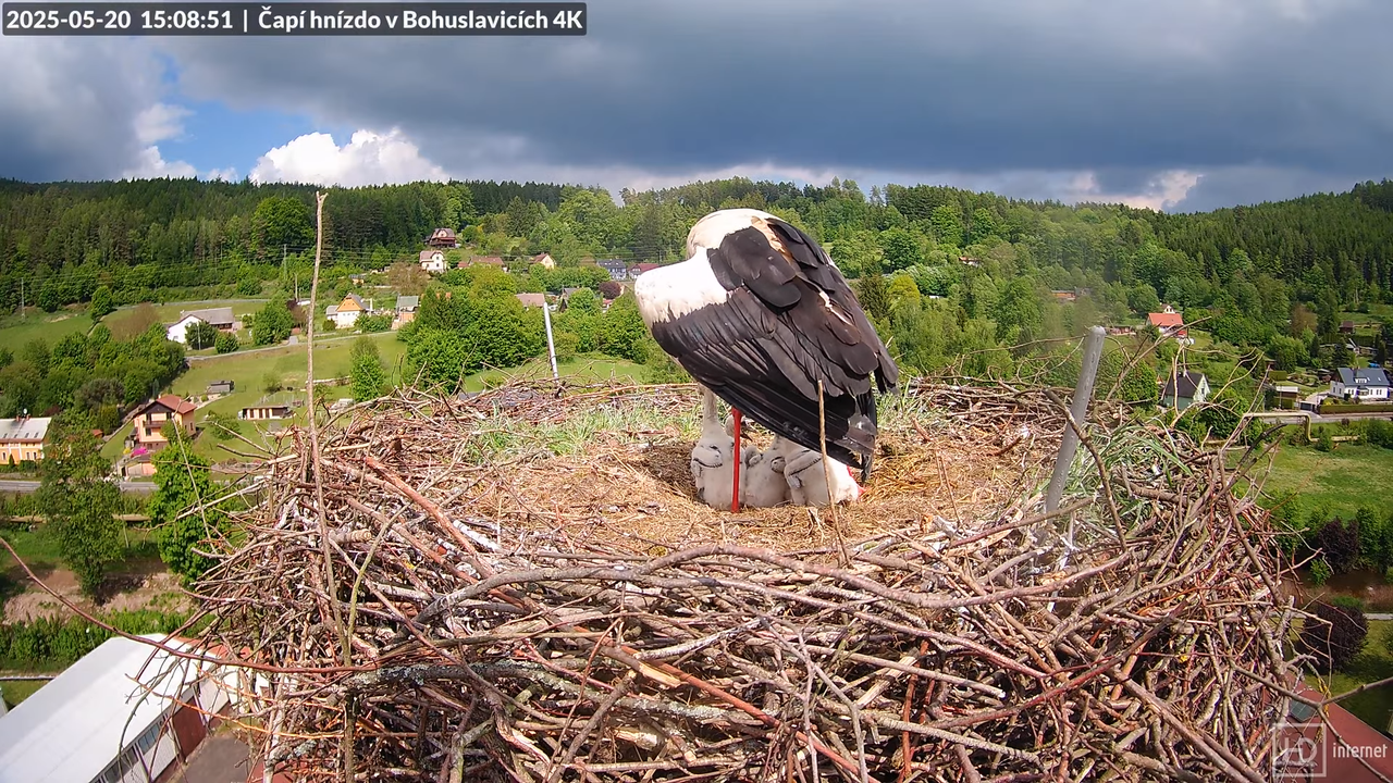 Živě z čapího komína firmy KARA v Bohuslavicích u Trutnova 11-27-26 screenshot