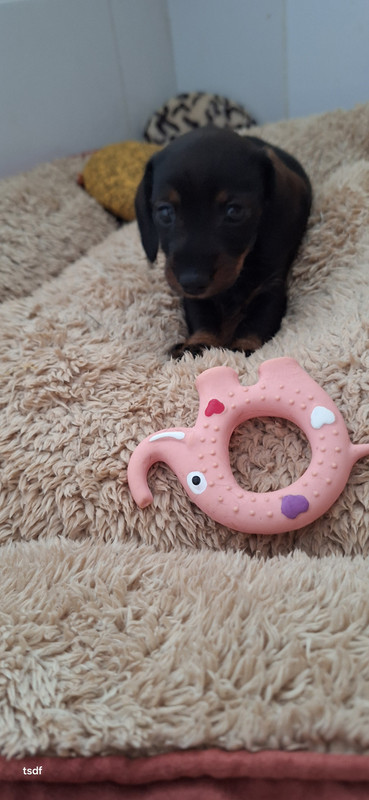 [Image: 20250605-105439.jpg]