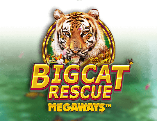 Big_Cat_Rescue
