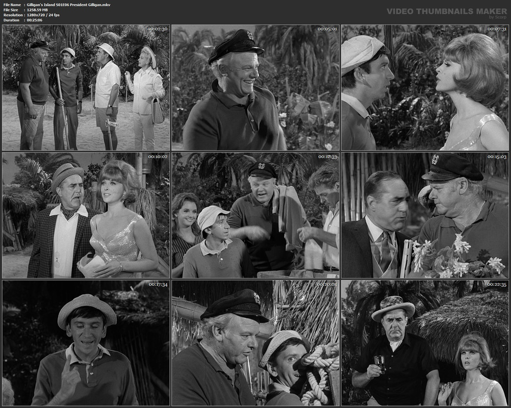Gilligan's Island S01E06 President Gilligan.mkv