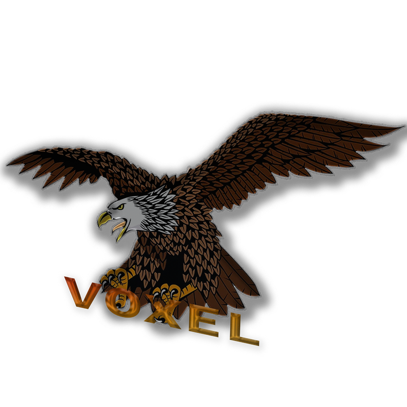 Voxel logo 1000