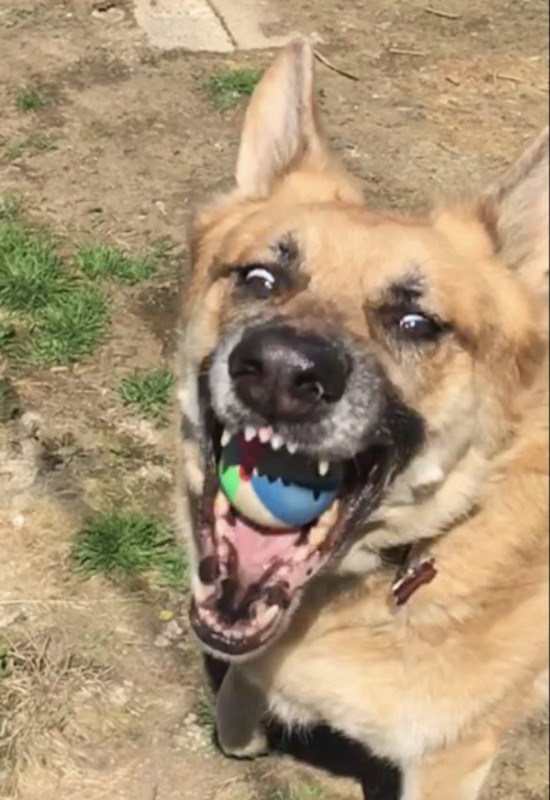 EFAEBB9B-332E-43E3-8D07-F41B735F8267