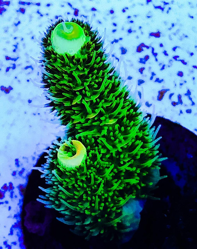E61E87CA-ED53-4EE3-8A39-F75DCEC1E929