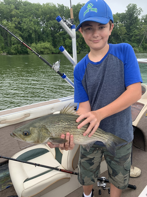 AF3882EA-2D3F-4671-94F0-5F3F97901958