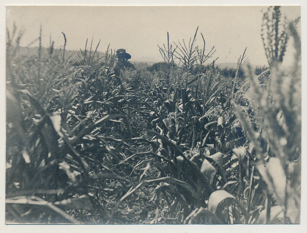 s-l160bg0