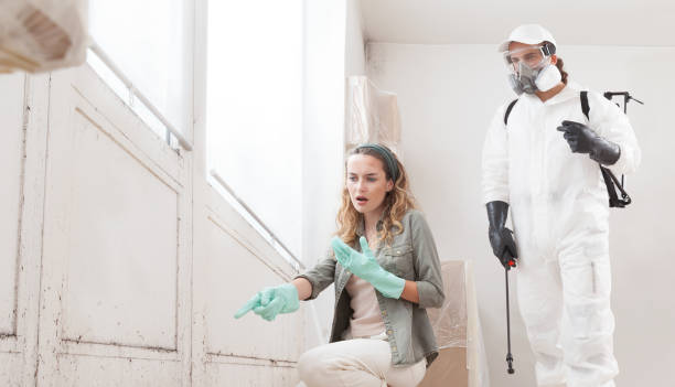 Bed bug treatment service